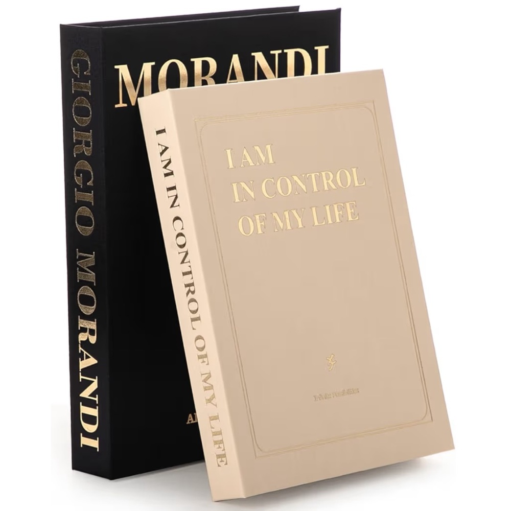 Set of 2 Faux books with Storage